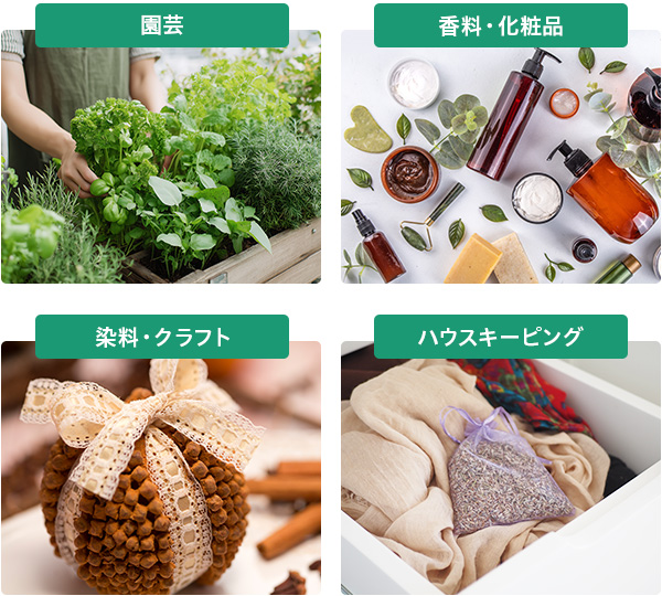 イメージ写真