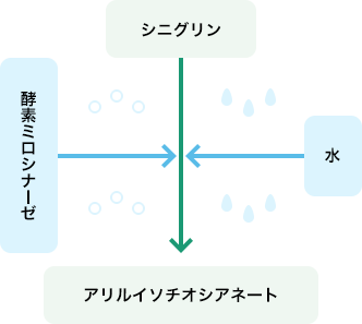 和からしの辛味 スパイス ハーブ別のq A S B エスビー食品株式会社