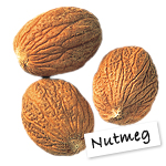 Nutmeg