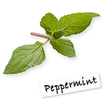 Peppermint