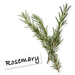 Rosemary