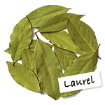 Laurel