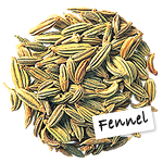 Fennel