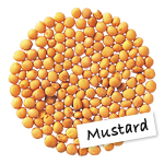 Mustard