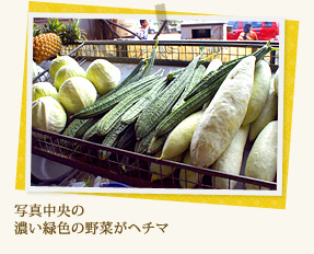 写真中央の濃い緑色の野菜がヘチマ