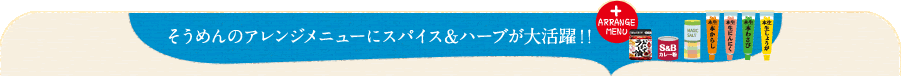 そうめんのアレンジメニューにスパイス＆ハーブが大活躍！!