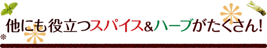 他にも役立つスパイス&ハーブがたくさん！