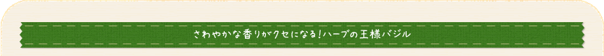 さわやかな香りがクセになる！ハーブの王様バジル