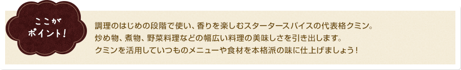 ここがポイント! 調理のはじめの段階で使い、香りを楽しむスタータースパイスの代表格クミン。炒め物、煮物、野菜料理などの幅広い料理の美味しさを引き出します。クミンを活用していつものメニューや食材を本格派の味に仕上げましょう!
