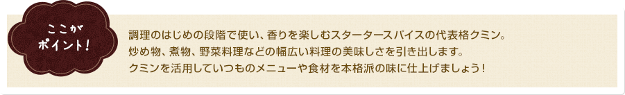 ここがポイント！　調理のはじめの段階で使い、香りを楽しむスタータースパイスの代表格クミン。炒め物、煮物、野菜料理などの幅広い料理の美味しさを引き出します。クミンを活用していつものメニューや食材を本格派の味に仕上げましょう！