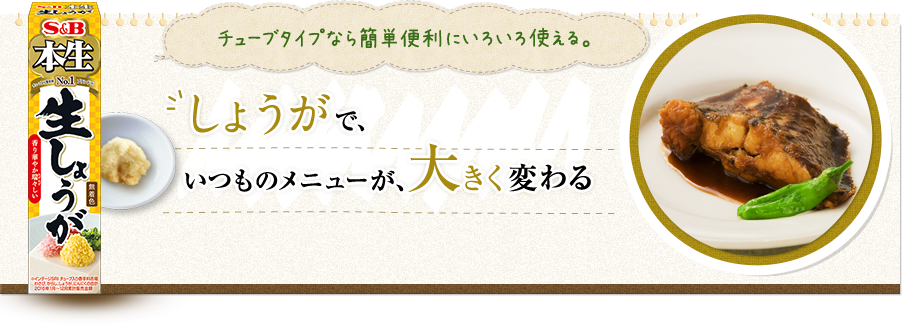 チューブタイプなら簡単便利にいろいろ使える。 しょうがで、いつものメニューが、大きく変わる