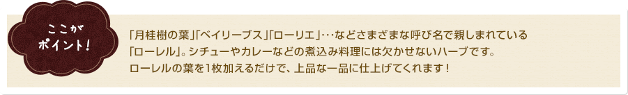 ここがポイント! 「月桂樹の葉」「ベイリーブス」「ローリエ」・・・などさまざまな呼び名で親しまれている「ローレル」。シチューやカレーなどの煮込み料理には欠かせないハーブです。ローレルの葉を1枚加えるだけで、上品な一品に仕上げてくれます!