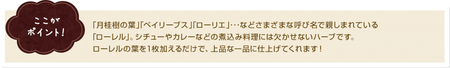 ここがポイント！ ｢月桂樹の葉｣｢ベイリーブス｣｢ローリエ｣･･･などさまざまな呼び名で親しまれている｢ローレル｣。シチューやカレーなどの煮込み料理には欠かせないハーブです。ローレルの葉を1枚加えるだけで、上品な一品に仕上げてくれます！