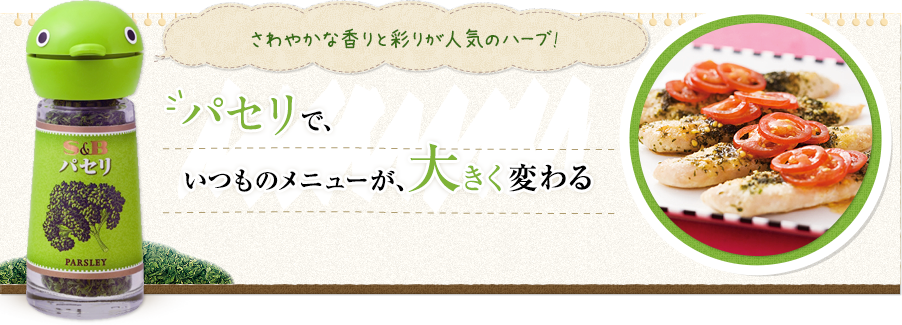 さわやかな香りと彩りが人気のハーブ! パセリで、いつものメニューが、大きく変わる S&Bパセリ 3g／150円 (税別） 