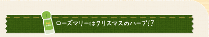 ローズマリーはクリスマスのハーブ！？