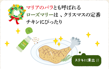 マリアのバラとも呼ばれるローズマリーは、クリスマスの定番チキンにぴったり