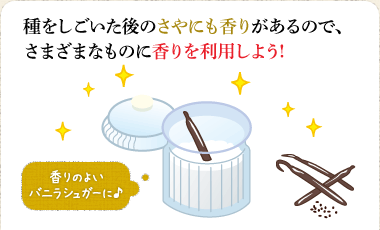 種をしごいた後のさやにも香りがあるので、さまざまなものに香りを利用しよう!