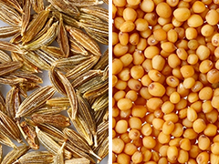 豆知識４画像alt（" "）