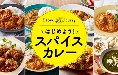 はじめようスパイスカレー