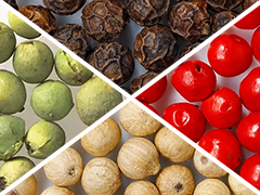 いろいろな「こしょう」「ペッパー」について