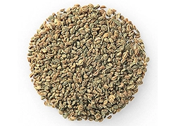 スパイス＆ハーブ事典：セロリーシード