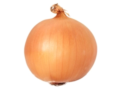 スパイス＆ハーブ事典：オニオン