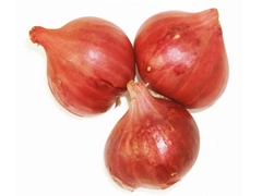 スパイス＆ハーブ事典：エシャロット