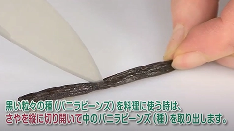 バニラ～しごいたさやの利用方法～
