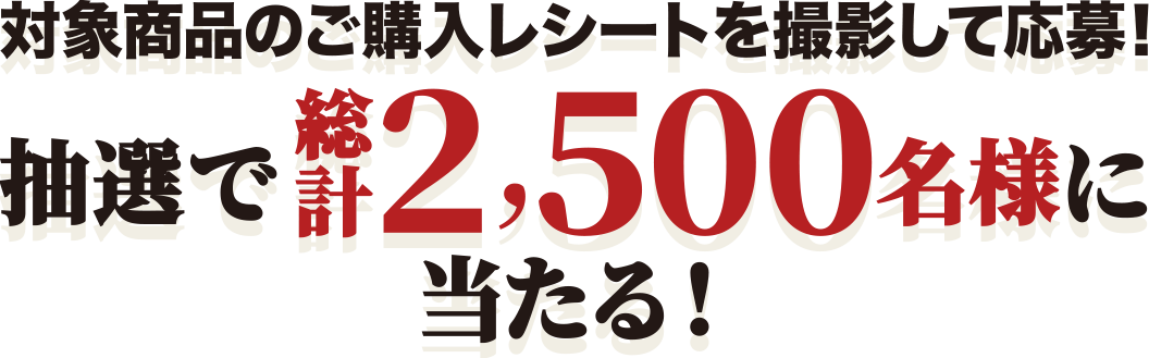 対象商品のご購入レシートを撮影して応募！抽選で総計2,500名様に当たる！