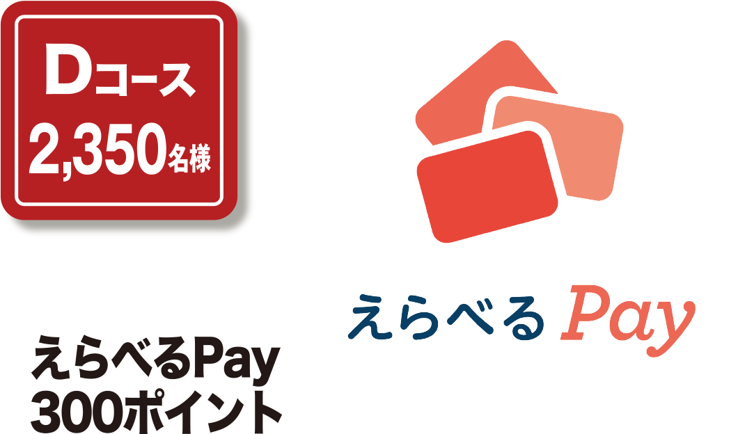 Dコース100名様 えらべるPay300ポイント