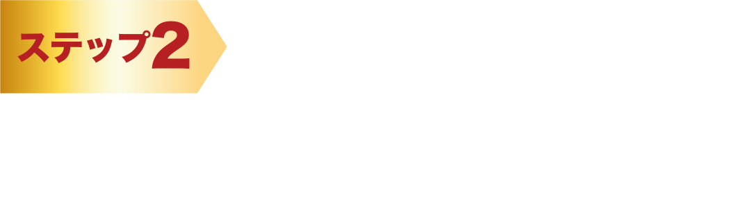 ステップ2 必要事項を入力。